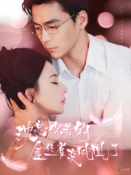 Дорама Канарейка превращается в Феникса / Canary Turns into Phoenix  /  沈总，你养的金丝雀变凤凰了