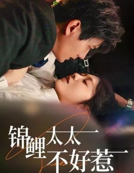 С золотой рыбкой не шутят / Mrs. Koi Is Not Easy to Mess With / 锦鲤太太不好惹