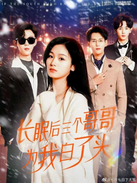 Дорама Ты знаешь, что я люблю тебя / You Know I Love You  /  长眠后三个哥哥为我白了头