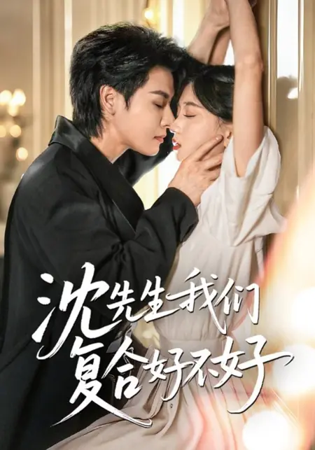 Дорама Господин Шэнь, давай сойдемся снова / Shen Xian Sheng Wo Men Fu He Hao Bu Hao /  沈先生我们复合好不好