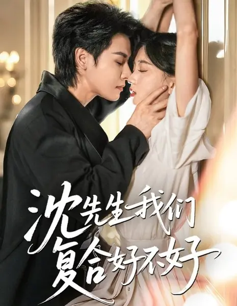 Господин Шэнь, давай сойдемся снова / Shen Xian Sheng Wo Men Fu He Hao Bu Hao /  沈先生我们复合好不好