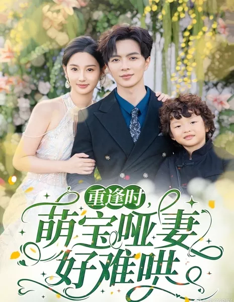 Когда мы встретимся вновь / When We Meet Again / 重逢时，萌宝哑妻好难哄