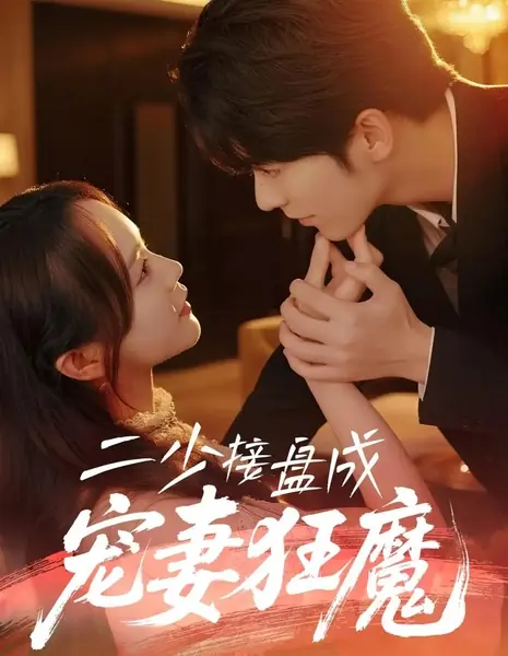 Er Shao Jie Pan Cheng Chong Qi Kuang Mo /  二少接盘成宠妻狂魔