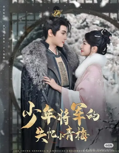 Юный генерал и его возлюбленная детства, потерявшая память / The Young General's Amnesiac Childhood Sweetheart / 少年将军的失忆小青梅