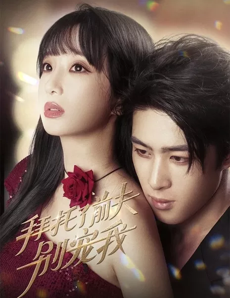 Никогда не влюбляйся в прошлое / Never Fall in Love with the Past  /  拜托了前夫别宠我