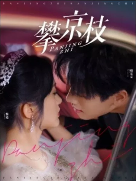 Дорама Pan Jing Zhi  /  攀京枝