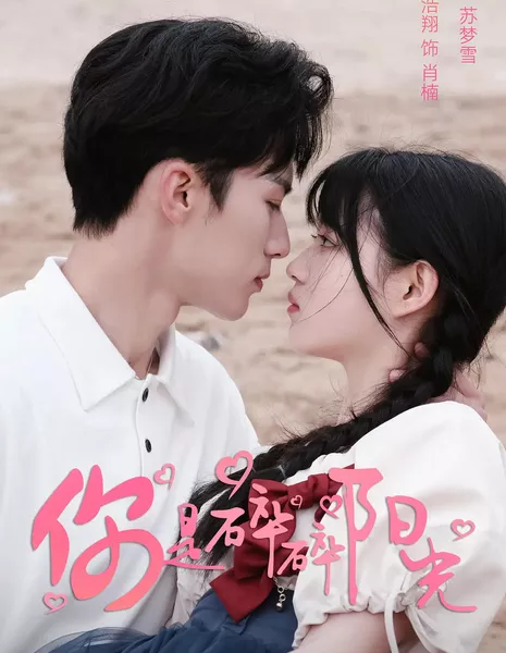 Ni Shi Sui Sui Yang Guang /  你是碎碎阳光