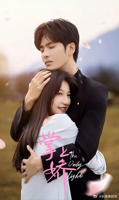 Дорама Сокровище в твоих руках / The Only Light  /  掌上娇