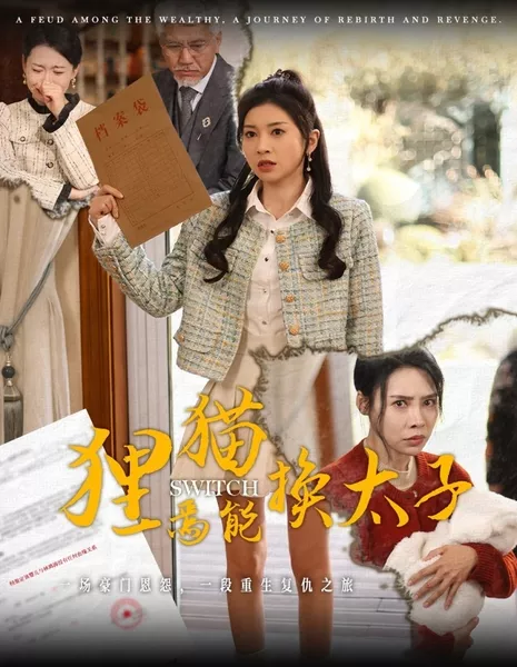 Перемещение / Switch  / 狸猫焉能换太子