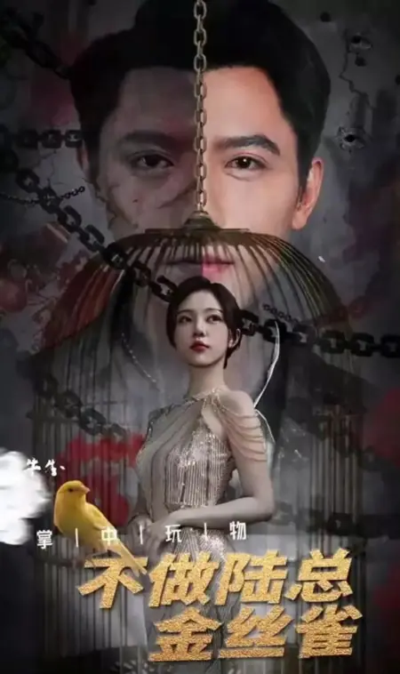 Дорама Игрушка в руках: Не хочу быть „золотой канарейкой“ господина Лу / Zhang Zhong Wan Wu, Bu Zuo Lu Zong Jin Si Que /  掌中玩物，不做陆总金丝雀