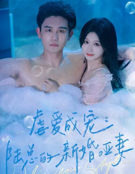  Моя прекрасная немая жена / Nve Ai Cheng Chong: Lu Zong De Xin Hun Ya Qi  /  虐爱成宠：陆总的新婚哑妻