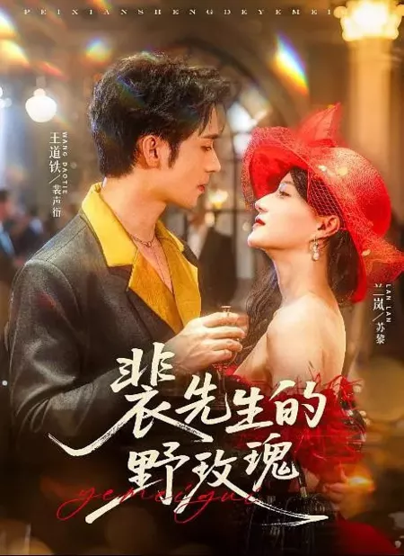 Дорама Pei Xian Sheng De Ye Mei Gui / 裴先生的野玫瑰 