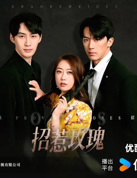 Розы провокации / Provoke Roses /  招惹玫瑰 / Zhao Re Mei Gui