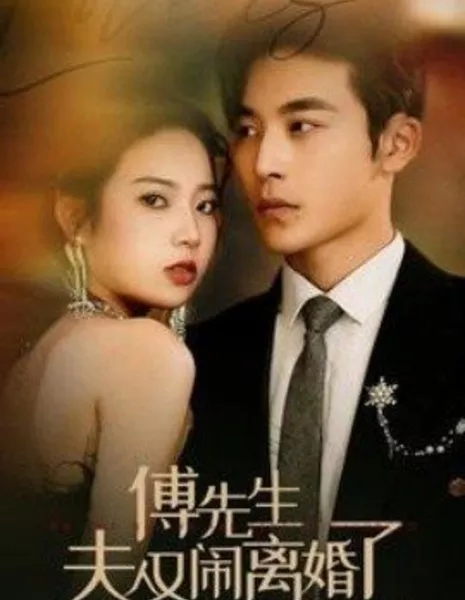 Fu Xian Sheng Fu Ren You Nao Li Hun Le / Fu Xian Sheng Fu Ren You Nao Li Hun Le  /  傅先生夫人又闹离婚了