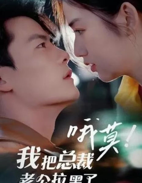 O Mo! Wo Ba Zong Cai Lao Gong La Hei Le  /  哦莫！我把总裁老公拉黑了