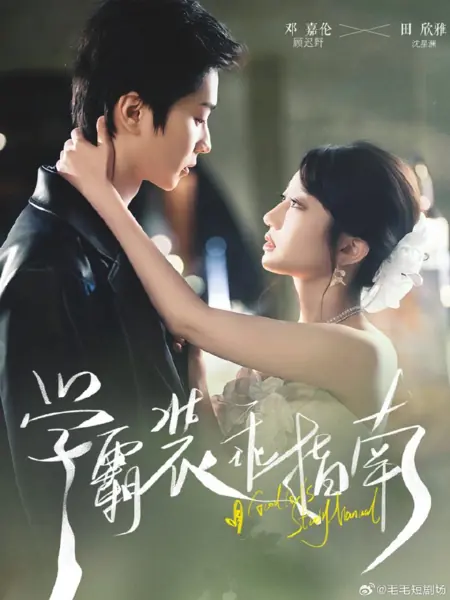 Дорама Учебное пособие для хорошей девочки  / A Good Girl's Study Manual /  学霸装乖指南