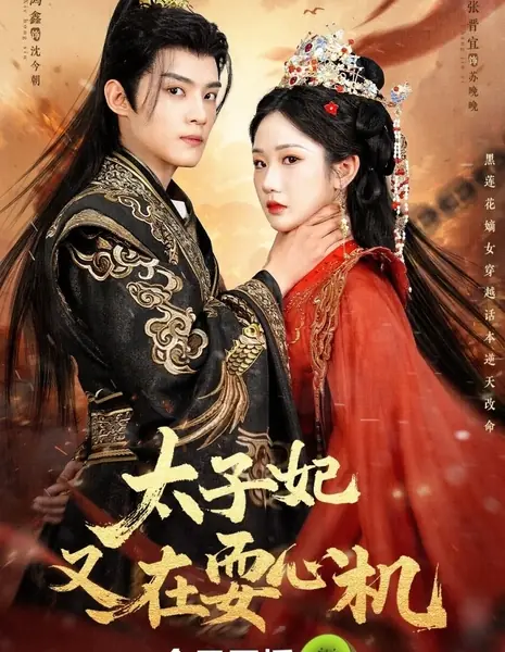 Не такая уж и порочная / Not So Vicious  /  太子妃又在耍心机