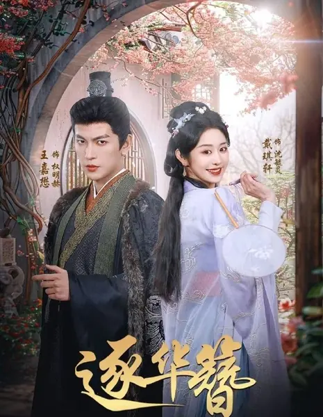 В погоне за драгоценной шпилькой / Zhu Hua Zan /  逐华簪