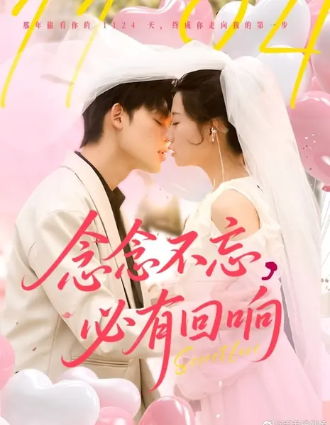 Тайная любовь  / Secret Love  /  念念不忘，必有回响