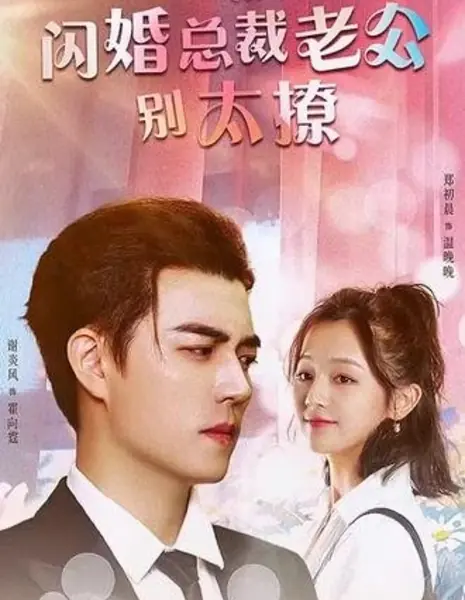 Shan Hun Zong Cai Lao Gong Bie Tai Liao  /  闪婚总裁老公别太撩