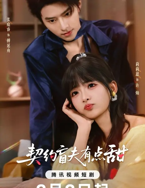 Qi Yue Mang Fu You Dian Tian /  契约盲夫有点甜