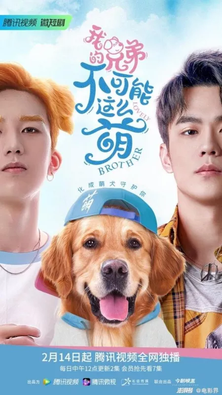 Дорама Прекрасный брат / Lovely Brother /  我的兄弟不可能在这么萌