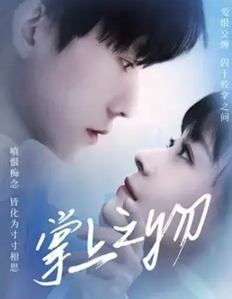 В его ладонях / Zhang Shang Zhi Wu /  掌上之物