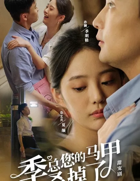 Ji Zong Nin De Ma Jia Ruo Diao Le  /  季总您的马甲叒掉了