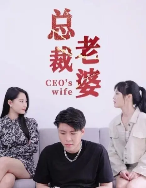 Жена генерального директора / CEO's Wife  /  总裁老婆