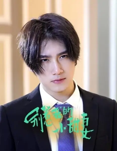 Не связывайся с моей милой / Don’t Mess with My Honey  /  别惹我的小甜妻