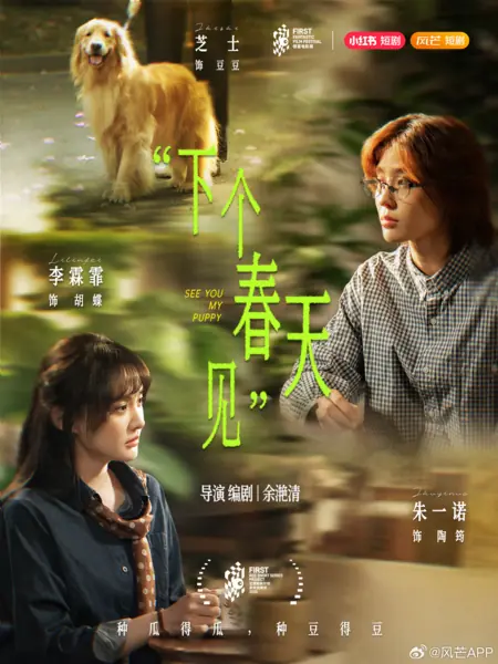 Дорама Увидимся, щеночек / See You My Puppy /  下个春天见 / Xia Ge Chun Tian Jian