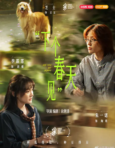 Увидимся, щеночек / See You My Puppy /  下个春天见 / Xia Ge Chun Tian Jian