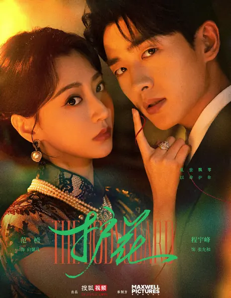 Телохранитель (Sohu TV) / The Bodyguard /  护花 / Hu Hua 