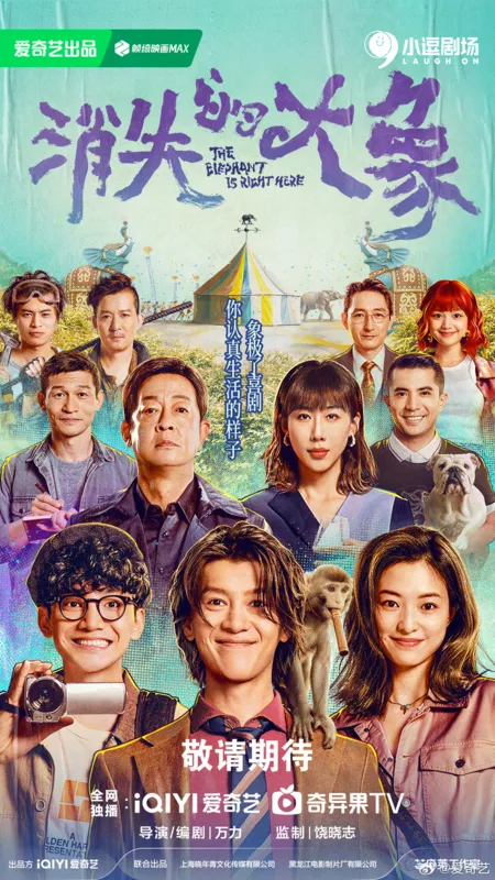 Дорама Пропавший слон / The Elephant is Right Here /  消失的大象 / Xiao Shi De Da Xiang