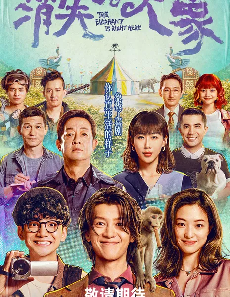 Пропавший слон / The Elephant is Right Here /  消失的大象 / Xiao Shi De Da Xiang