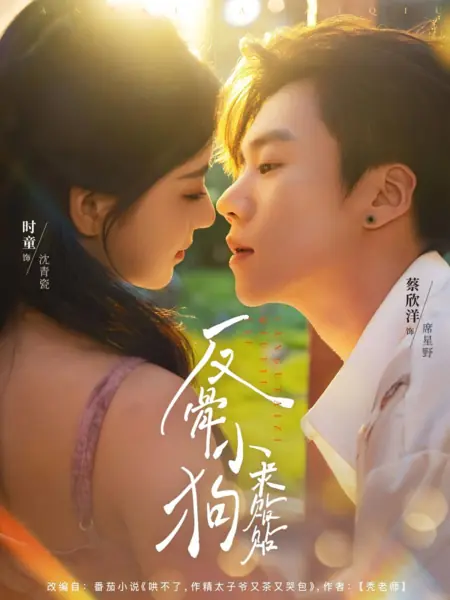 Дорама Непокорный щенок ищет ласки / Fan Gu Xiao Gou Qiu Tie Tie /  反骨小狗求贴贴