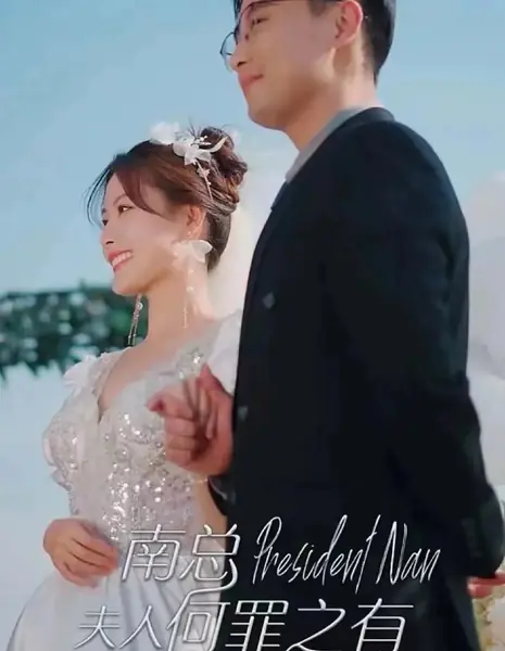 Президент  Нань / President Nan  /  南总，夫人何罪之有