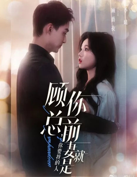 Gu Zong, Ni Qian Qi Jiu Shi Ni Yao Zhao De Ren  /  顾总，你前妻就是你要找的人