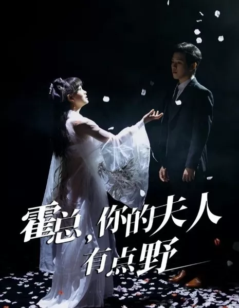 Huo Zong, Ni De Fu Ren You Dian Ye  /  霍总，你的夫人有点野