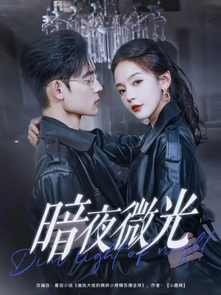 Дорама Тусклый свет ночи / Dim Light of Night /  暗夜微光