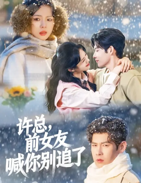Господин Сюй, бывшая просит вас прекратить преследование / Xu Zong, Qian Nv You Han Ni Bie Zhui Le / 许总，前女友喊你别追了