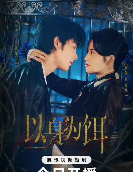 Yi Shen Wei Er /  以身为饵