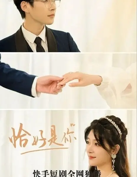 Qia Hao Shi Ni  /  恰好是你