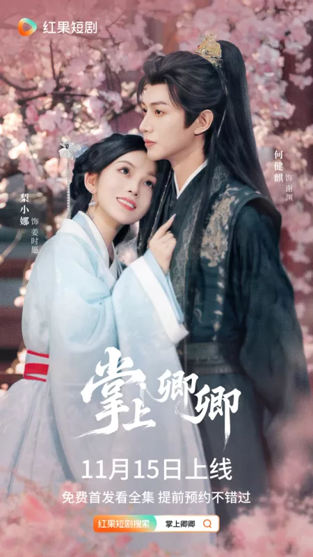 Дорама Zhang Shang Qing Qing /  掌上卿卿