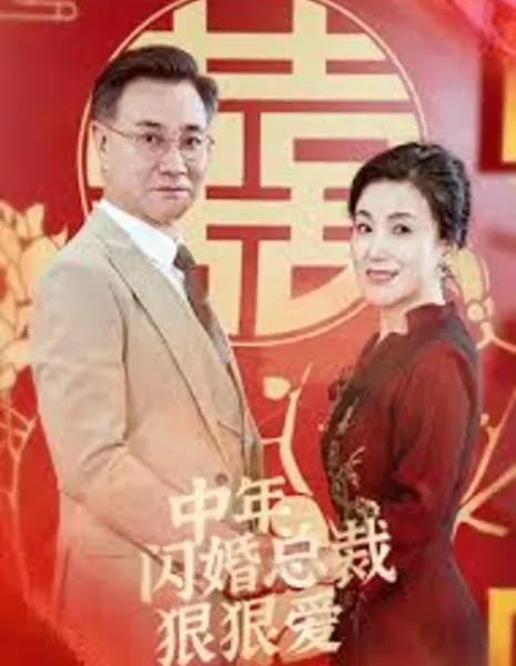 Zhong Nian Shan Hun Cong Cai Hen Hen Ai /  中年闪婚总裁狠狠爱