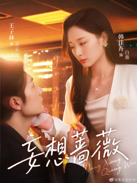 Дорама Роза иллюзий / Wang Xiang Qiang Wei /  妄想蔷薇