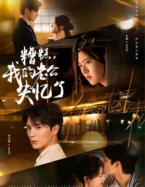 Ой, мой муж потерял память / Zao Gao, Wo De Lao Gong Shi Yi Le /  糟糕，我的老公失忆了