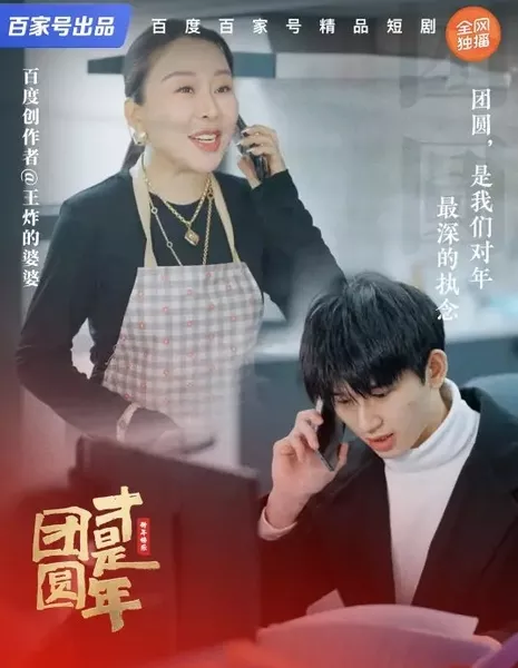 Tuan Yuan Cai Shi Nian  /  团圆才是年