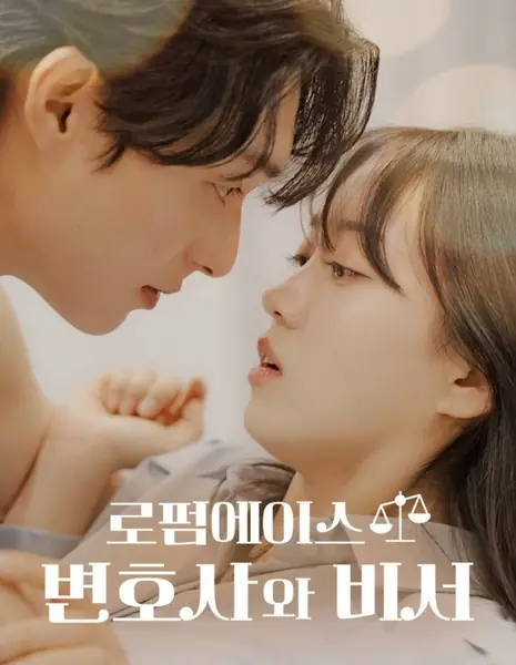 Любовь в законе / Law Firm Romance: The Attorney and the Secretary /  로펌 에이스 변호사와 비서