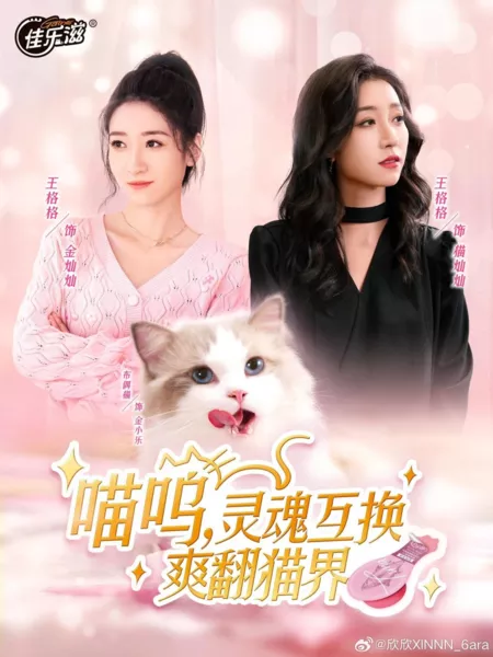 Дорама Мяу-мяу, обмен душами, крутой переворот в кошачьем мире / Miao Wu, Ling Hun Hu Huan Shuang Fan Mao Jie  /  喵呜, 灵魂互换爽翻猫界